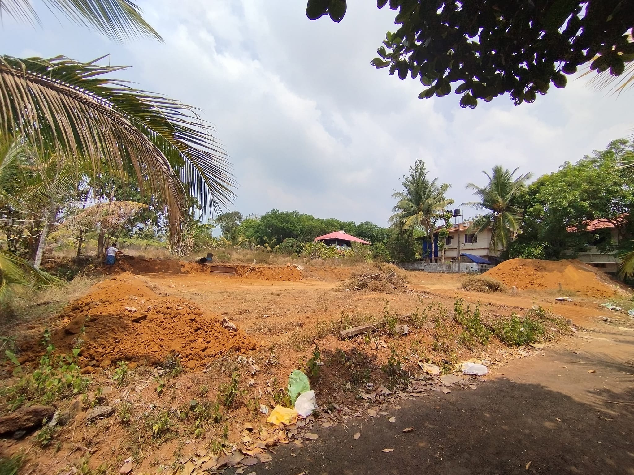 19.5 സെൻ്റ്