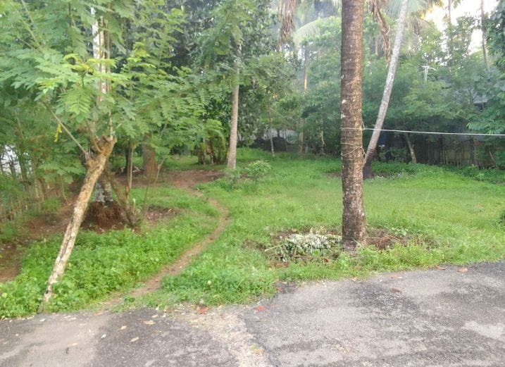 10 സെൻ്റ്